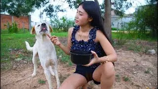 My sister's holiday She provided food and taught her dog to funny