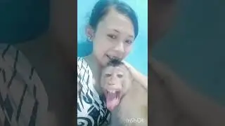 Beruk dudy manja dan jinak 😀 #beruklucu