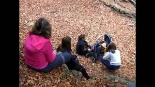 Parc Natural dels Ports: La Fageda del Retaule