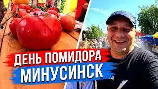 ПРАЗДНИК МИНУСИНСКИЙ ДЕНЬ ПОМИДОРА