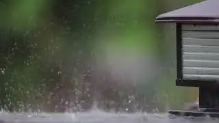 RAIN VIDEO FOOTAGE FREE - RAIN STOCK FOOTAGE | FREE HD VIDEO - NO COPYRIGHT 32