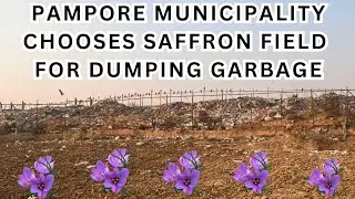 Pampore Municipality Chooses Saffron Field For Dumping Garbage