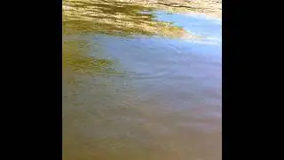Big Pike...small River