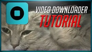 Video Downloader Premium Tutorial (Google Chrome Store Extension)