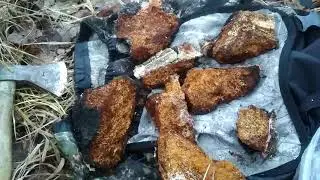 Чага - как собирать березовый гриб