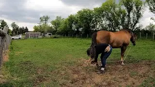 Aries hoofs again