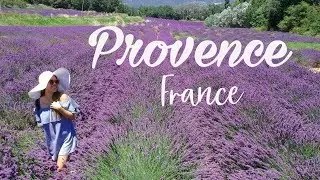 Exploring France - Provence Lavender Fields