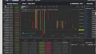 PagareX is almost gone while NEW TYCOON PLUS is looking good