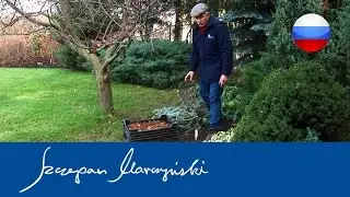 Вьющиеся растения - защита растений в саду