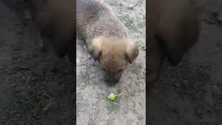 Два месяца за минуту