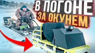 В погоне за окунем