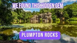 We found a hidden GEM!!! 
