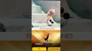 insano