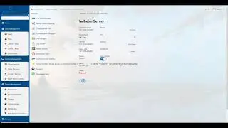 Valheim - How to configure the basic settings ( Server Name, Password, File name etc )