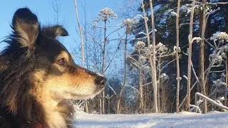 Марта и я желаем вам хорошей недели