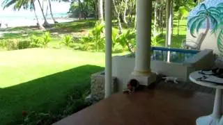 Beachfront Estate in Republic of Panama