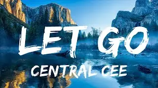 Central Cee - LET GO (Lyrics) | only know you've been high when you're feeling low | 15min