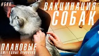 #БКК