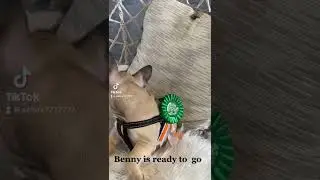 Benny