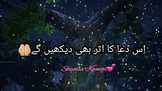 Whatsapp Status | Urdu Poetry | Shayari | Shamsa Kanwal