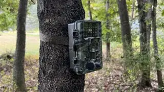 HAZA PR800 Trail Camera Review