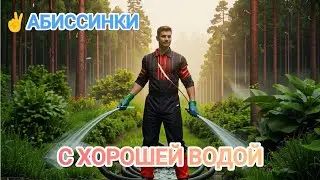 ДВЕ СКВАЖИНЫ С ХОРОШЕЙ ВОДОЙ🚰🚰✌️