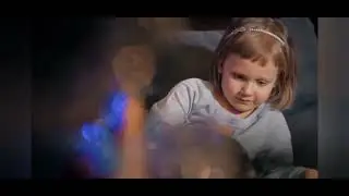 Безпритульні тварини  mp4