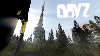 One ABSOLUTELY INSANE life in DayZ! 😯😂