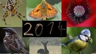 (Natur-) Fotos - 2014