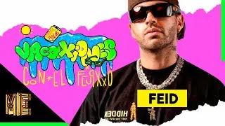 Feid - Concierto en Perú ( en vivo ) Vacaciones con el Ferxxo