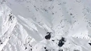 Трофейный дагестанский тур
