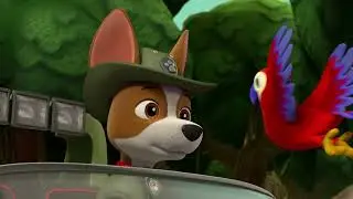 A nose for adventure 🐶🐶🐶 | Paw Patrol on Nickelodeon | DStv