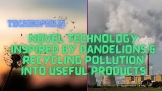 Technophilia | Novel Technology Inspired by Dandelions & Recycling Pollution into Useful Products