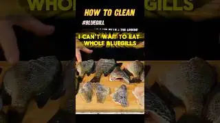 Discover the Art of Cleaning Bluegills for Perfect Fish Fry 🎣 #shorts