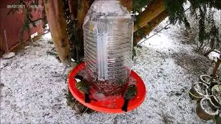 В этом году большая кормушка