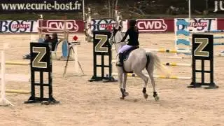Dorludine 125 GP