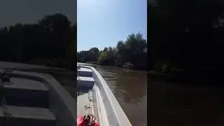 cs pesca - calipso