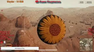 Копия видео 