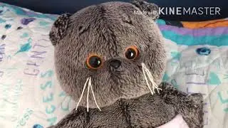 Наше утро // Басик и Компания❤️