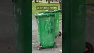 “I quit my full-time job to dumpster dive” 