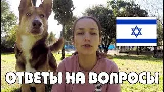 О чем молчать в консульстве? Как найти жильё? Парковки, стоматология и сравнение цен!