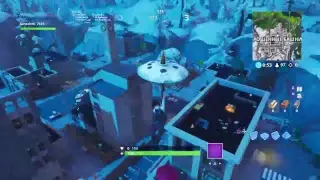 Fortnut