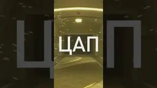 No No