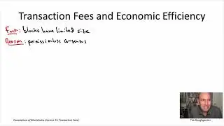 Foundations of Blockchains (Lecture 11.1: Transaction Fees and Economic Efficiency)
