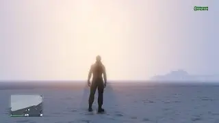 Grand Theft Auto Online Heist