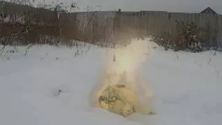 Взорвать капусту