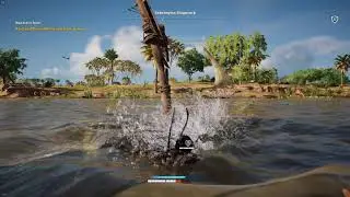 Stun Locked by Crocs in ASO