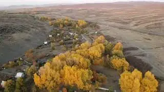 zolotaya osen'.Ust'-Kamenogorsk.Усть-Каменогорск.золотая осень.