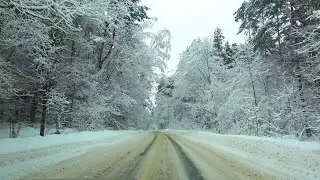 Поездка по заснеженному лесу