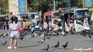Children feed pigeons in front Royal Palace 27 January 2025